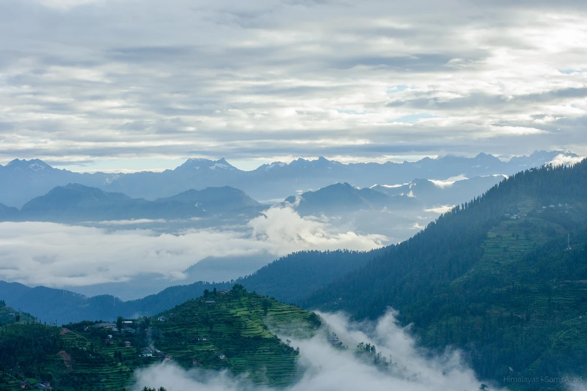 Cloud filling the forested valleys of the Great Himalayan National Park