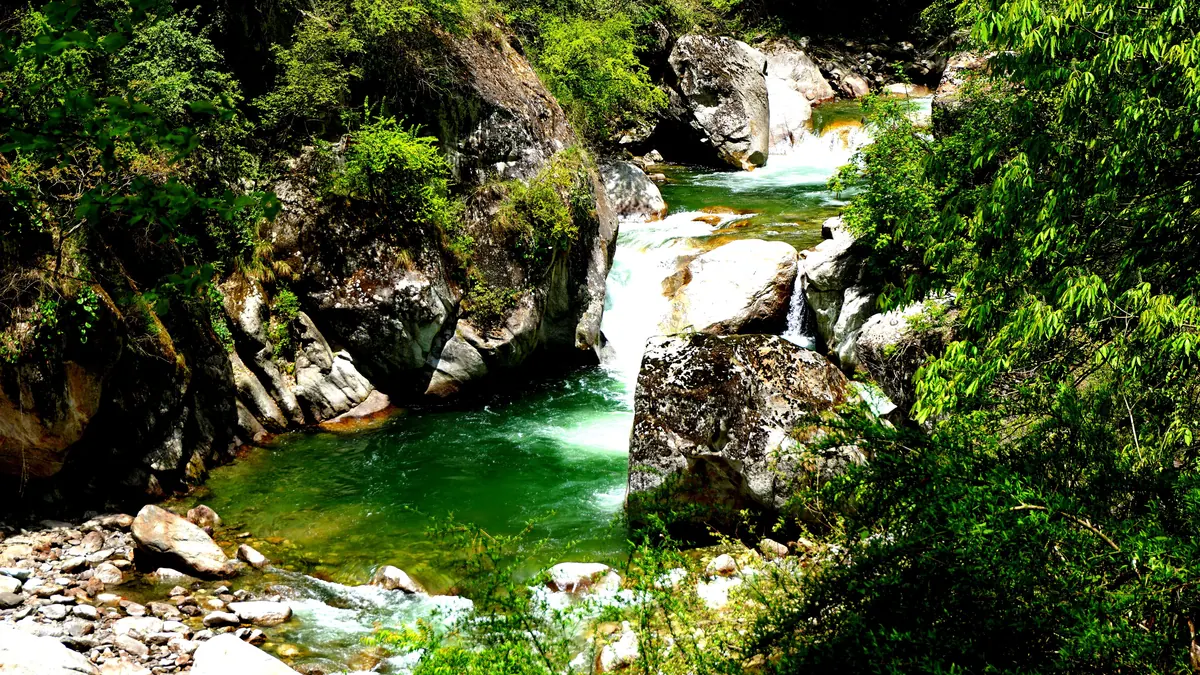 The Tirthan river running green between boulders and forest