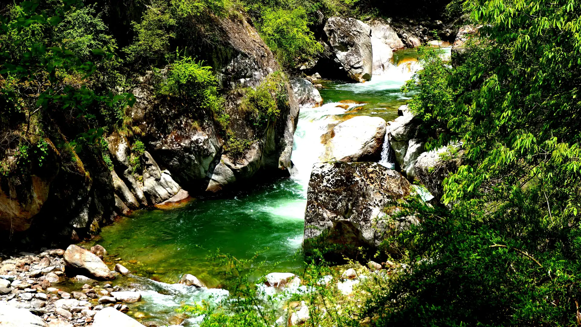 The Tirthan river running green between boulders and forest