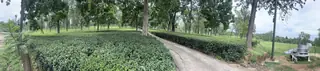 Palampur