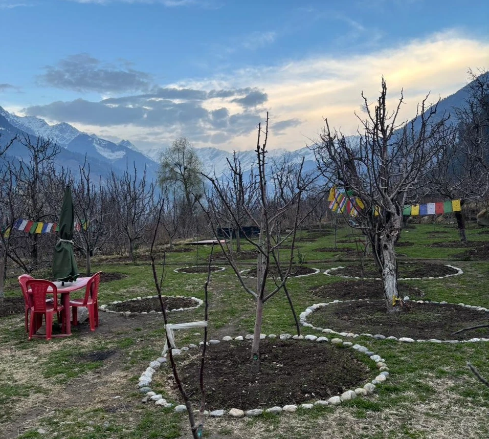 Himalayan Pines Resort - Image 7