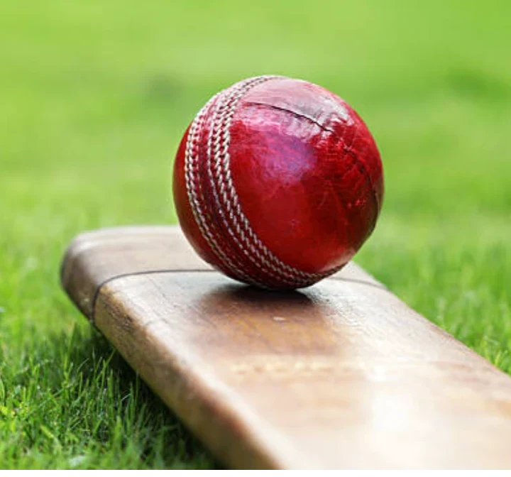 Cricket