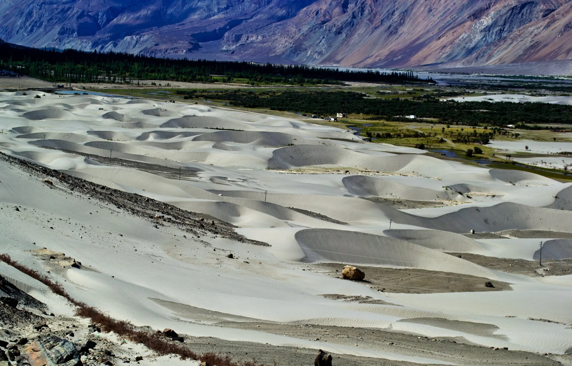 The sand dunes of the Nubra valley