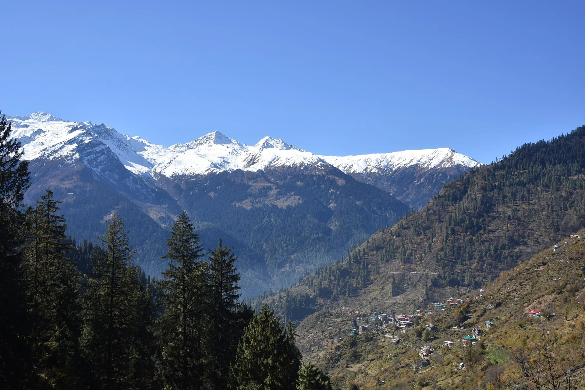 Snow peaks at the head of the Parvati valley, seen from the Tosh trail