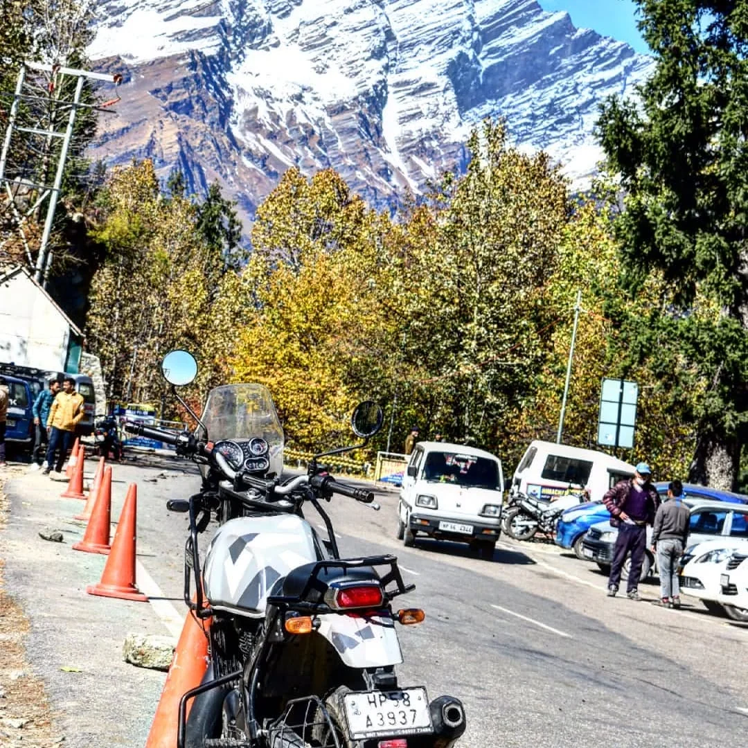 A motorbike on the road through the pines