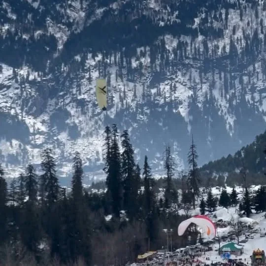 A paraglider over snowy forest above Manali