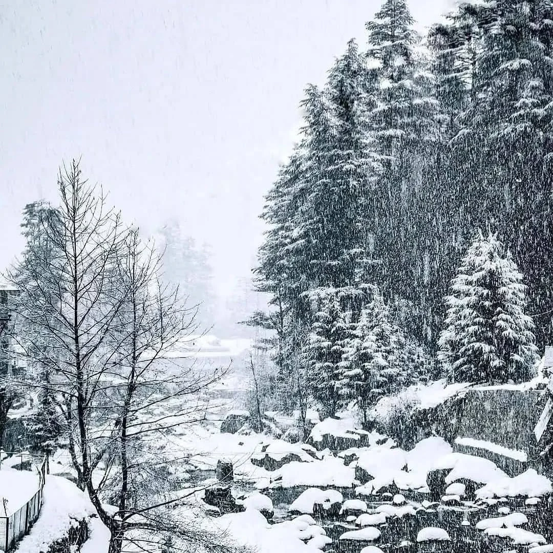 Winter
