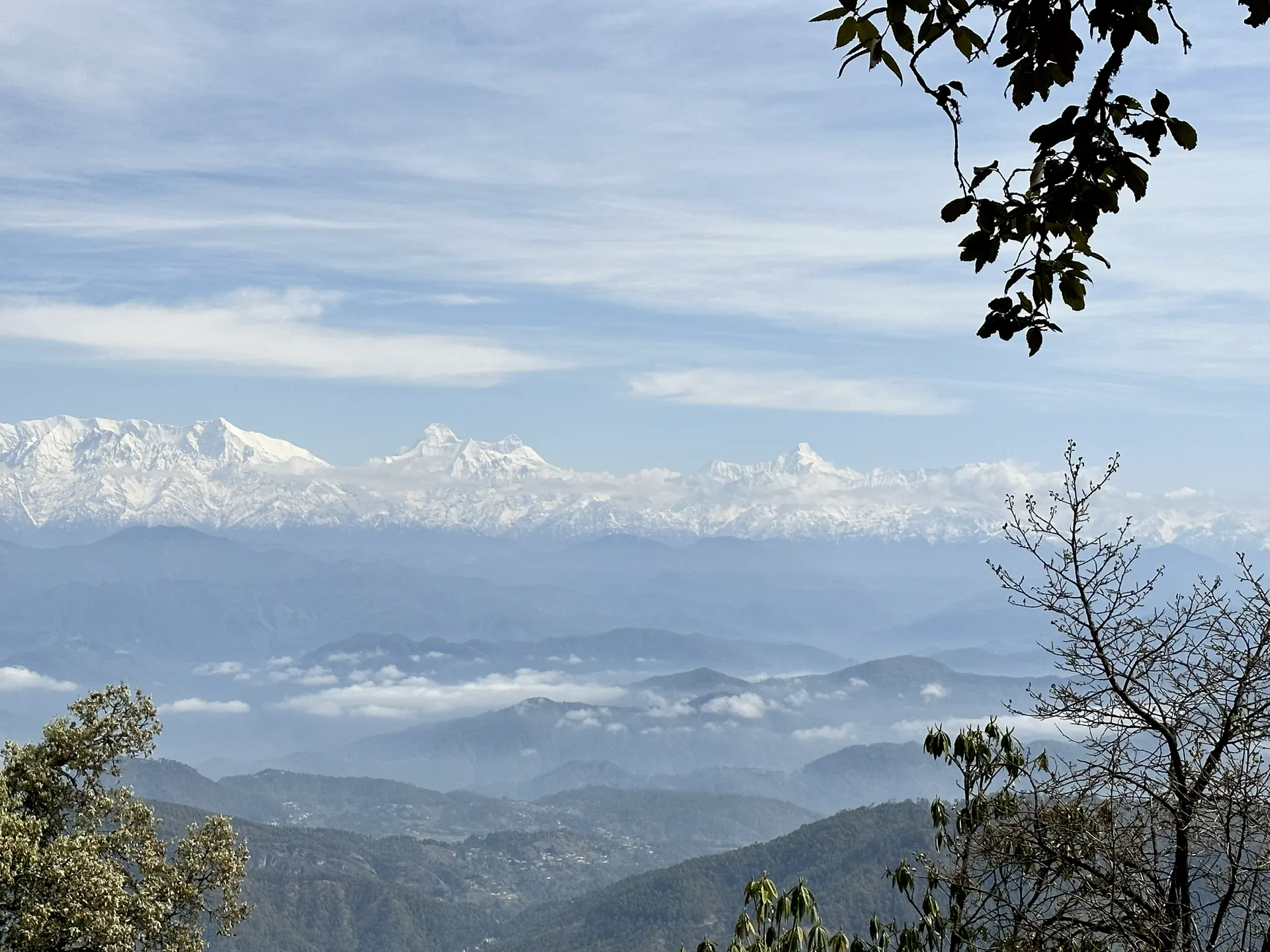 A long line of snow peaks above layers of blue hills and cloud, framed by bare branches, seen from Binsar