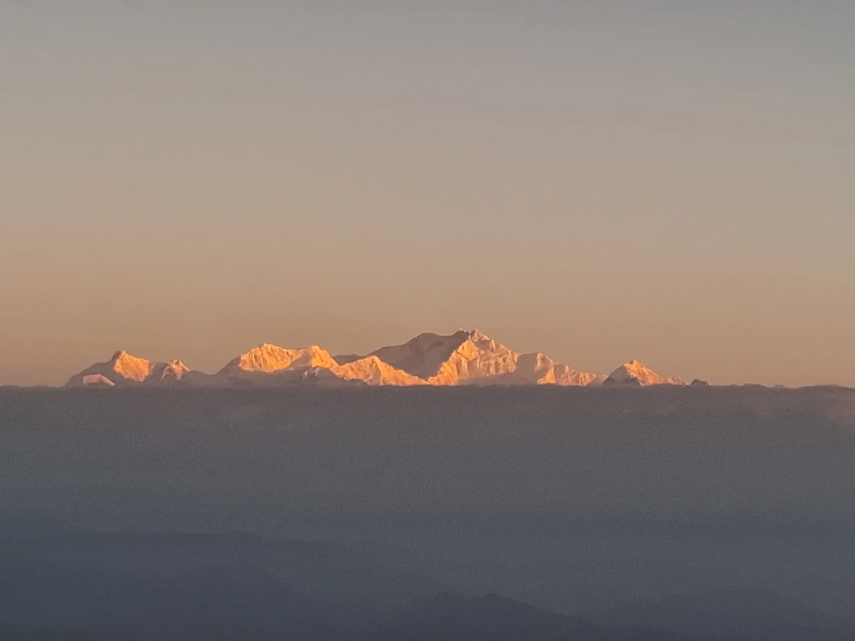 The snow summits of the Kangchenjunga range glowing pink-gold in first light above a bank of cloud, seen from Tiger Hill