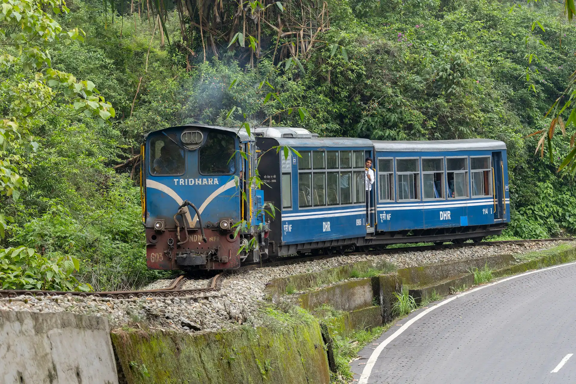 A blue Darjeeling Himalayan Railway train with blue carriages running beside a road between green forest and a stone drain