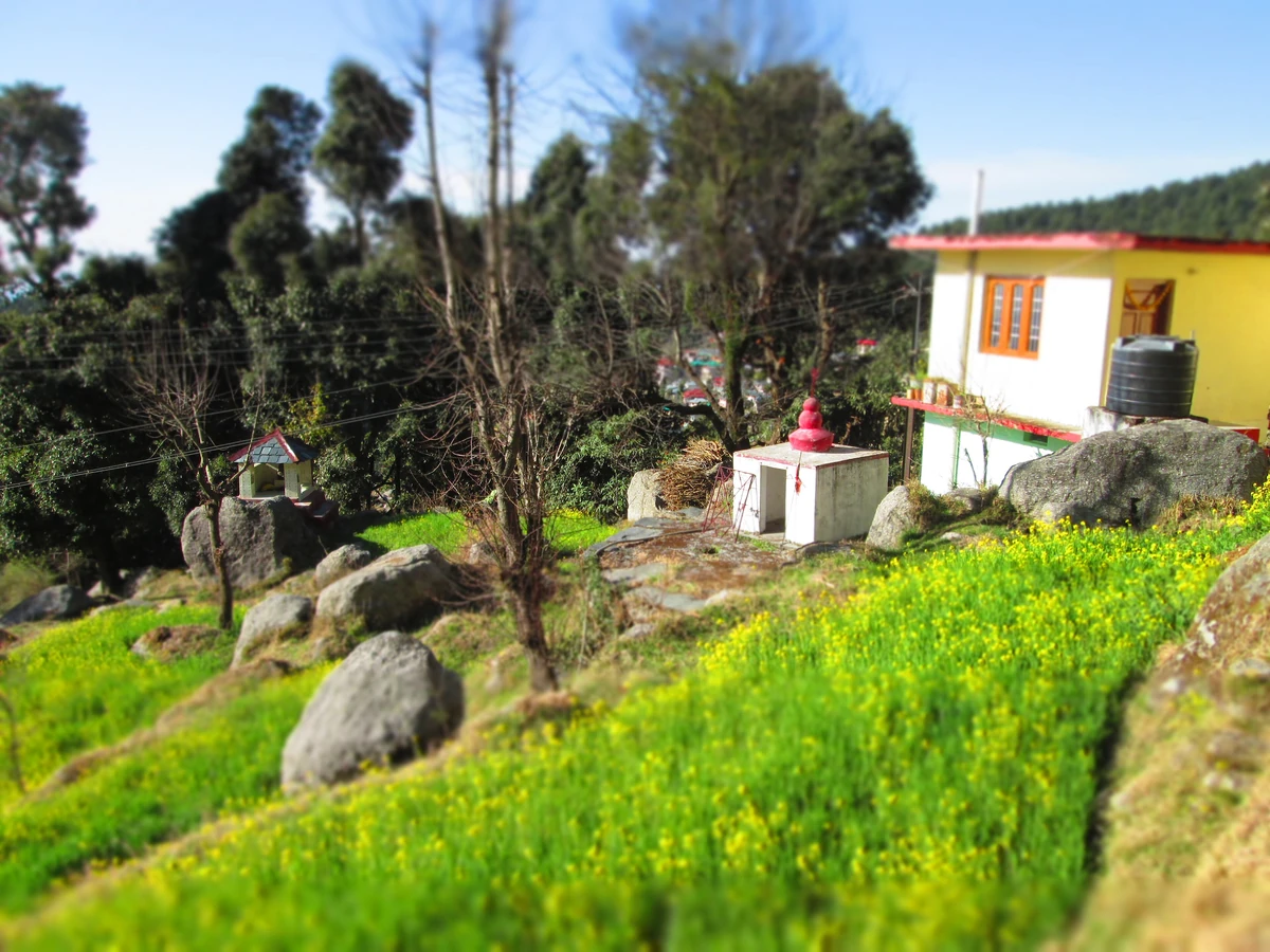 Dharamkot village