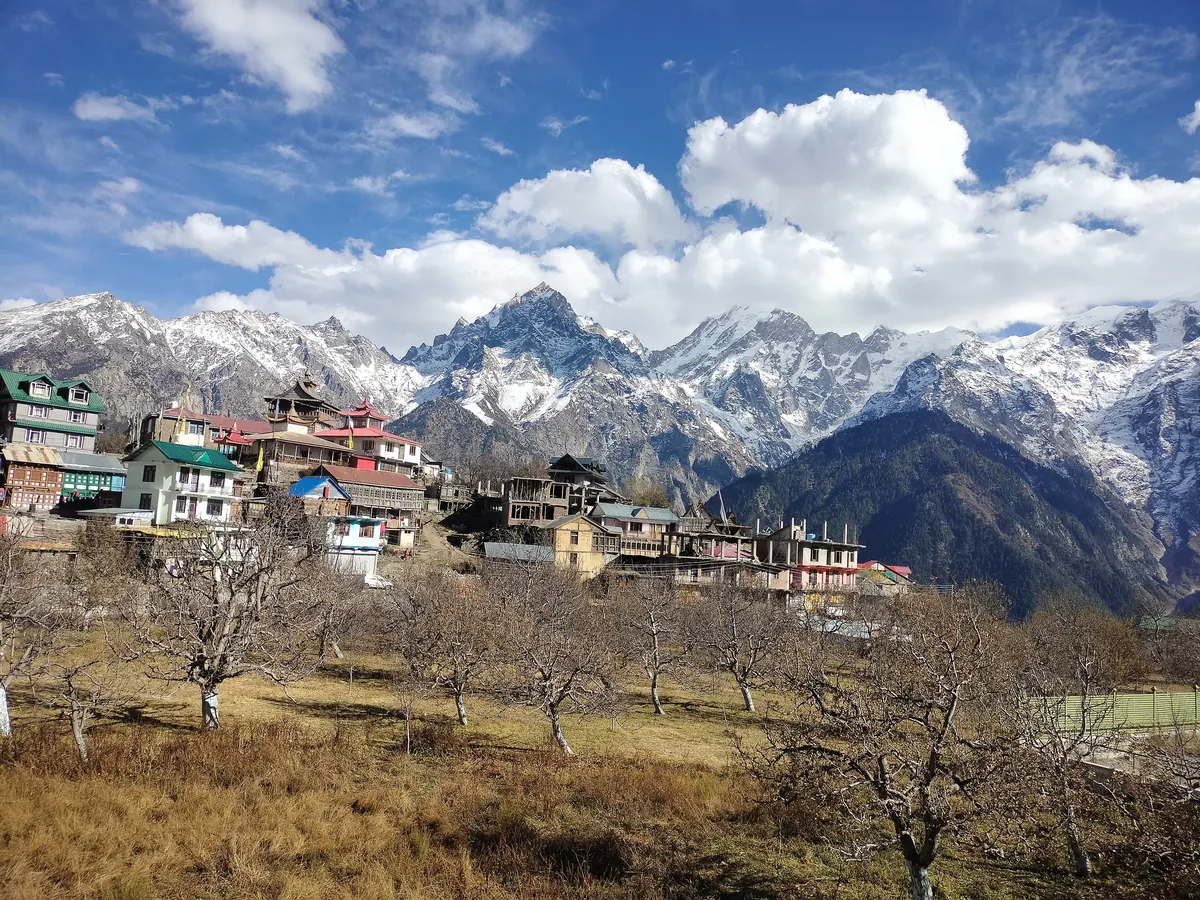 The wooden houses of Kalpa village with snow peaks of the Kinnaur Kailash range behind