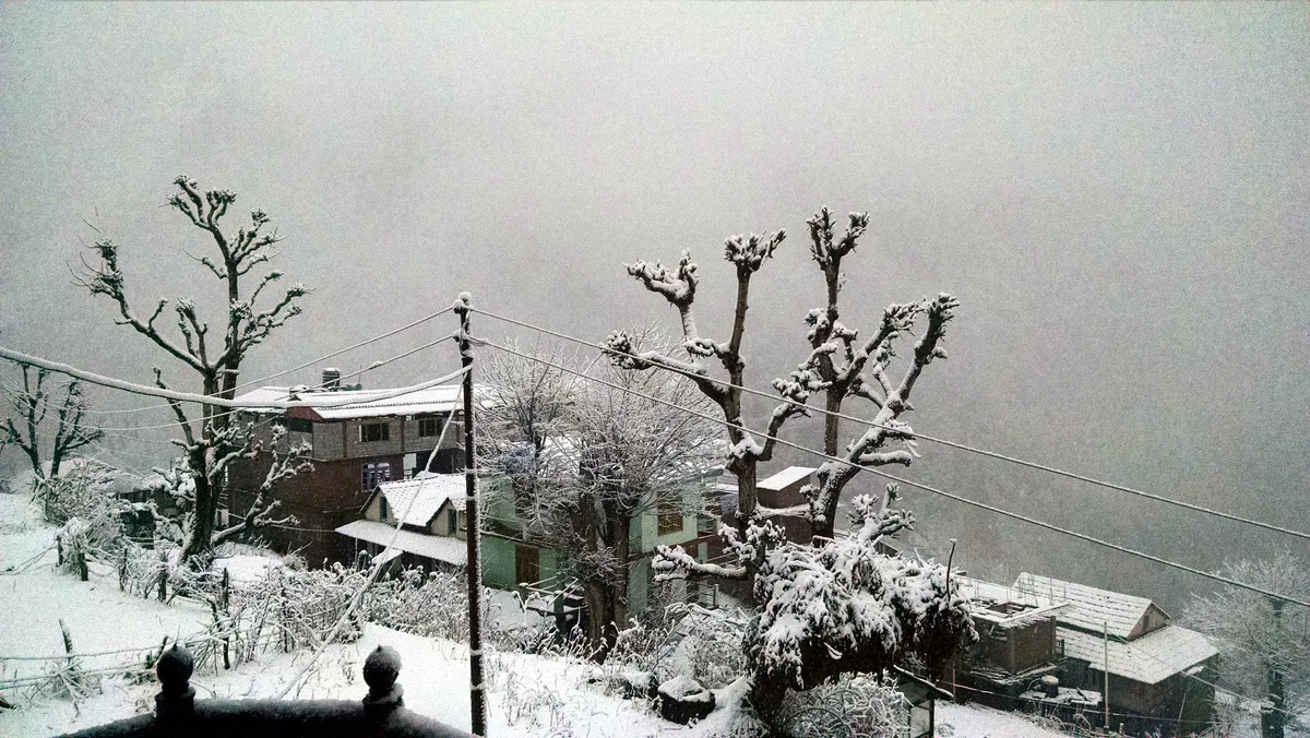 Tosh under heavy snow