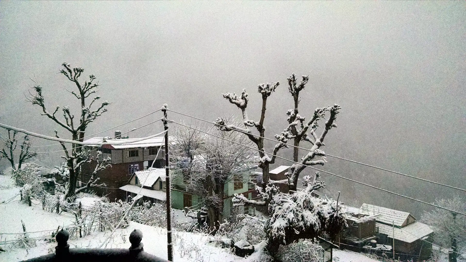 Tosh under heavy snow