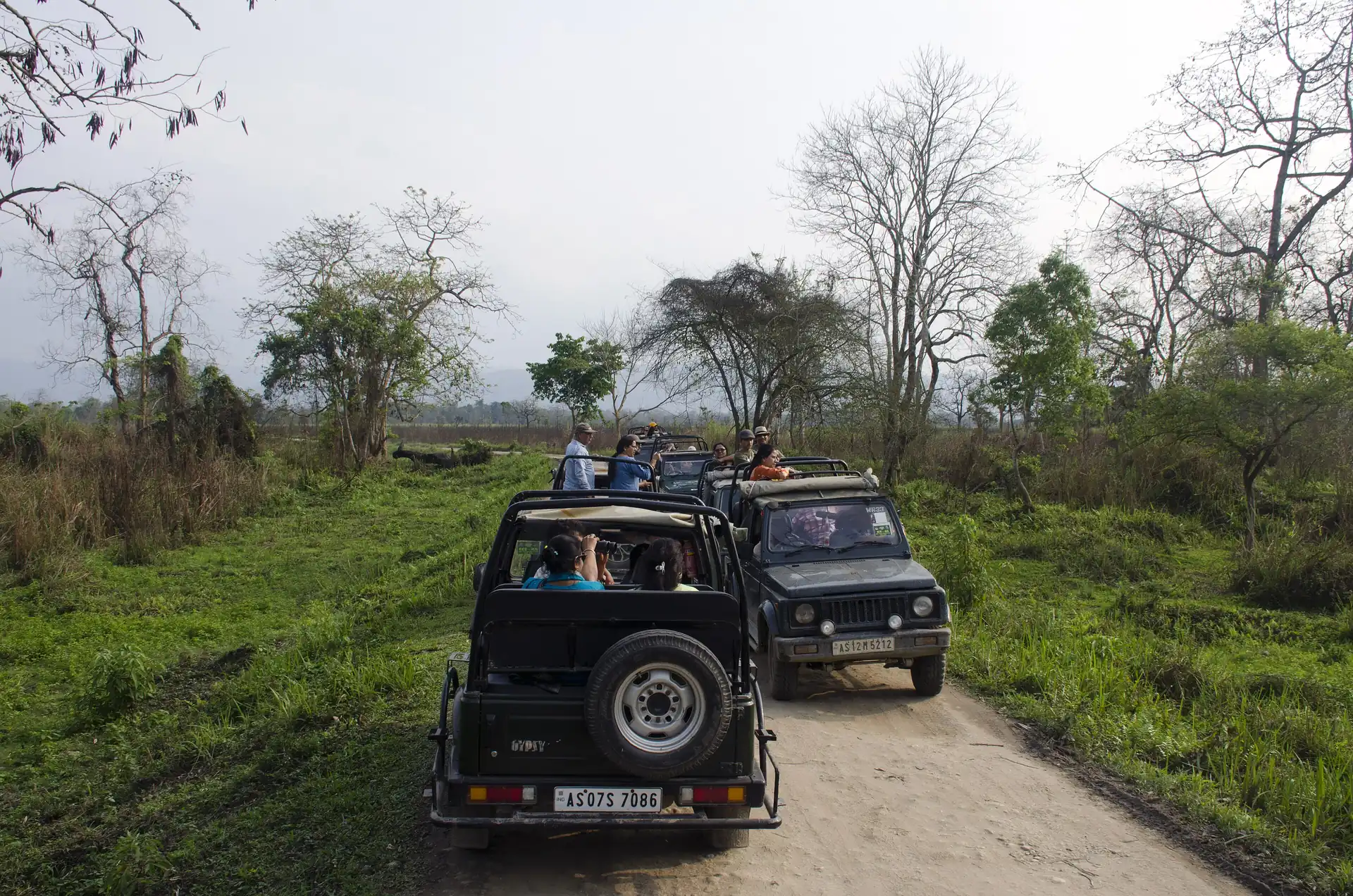 Two open safari jeeps with passengers on a dirt track through grassland and bare trees in the Central Zone