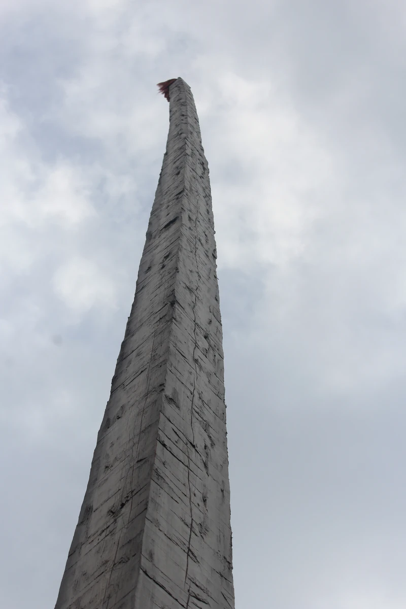 The tall wooden staff at Bijli Mahadev temple