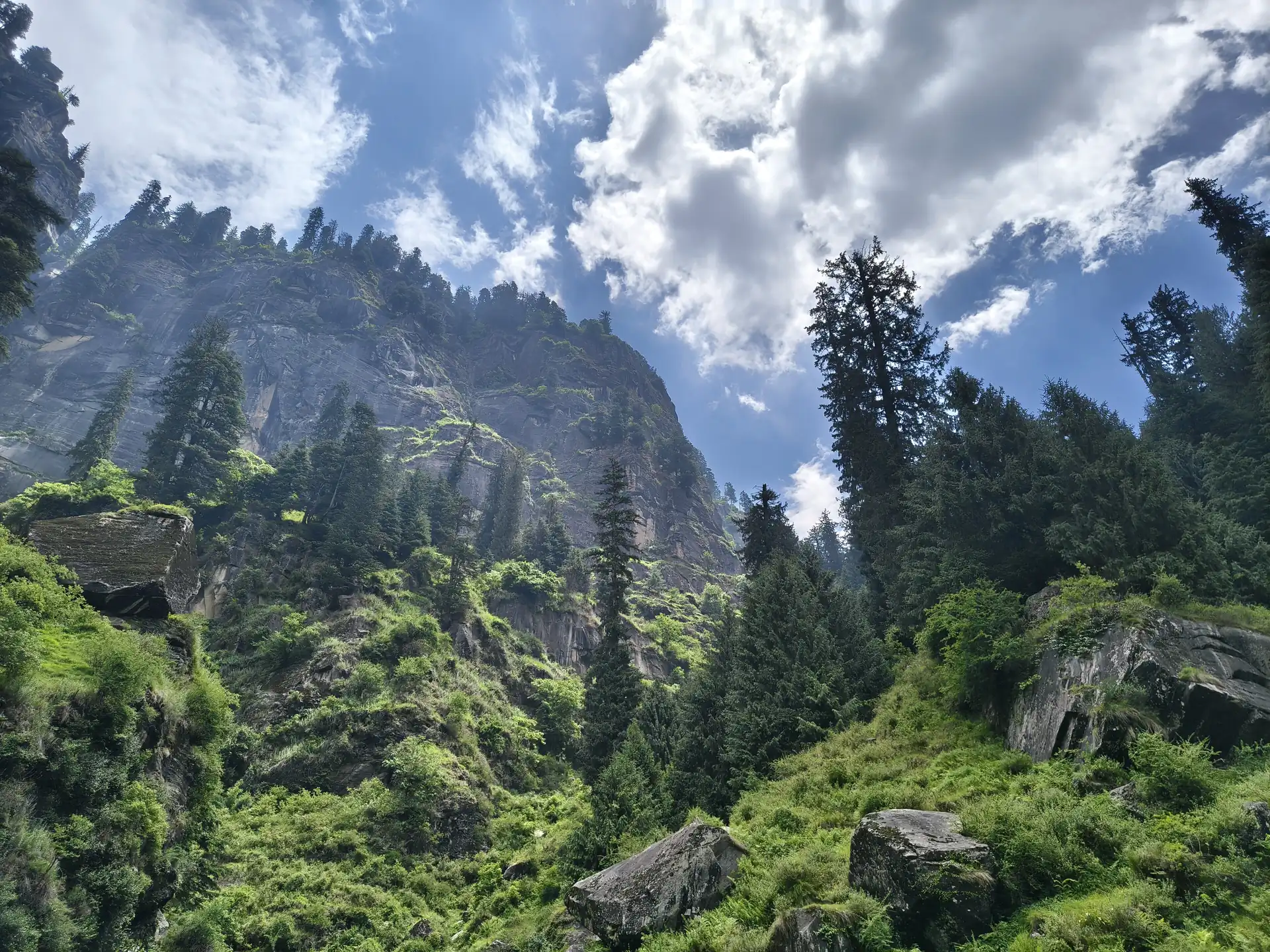Deodars and cliffs around Jogini Falls