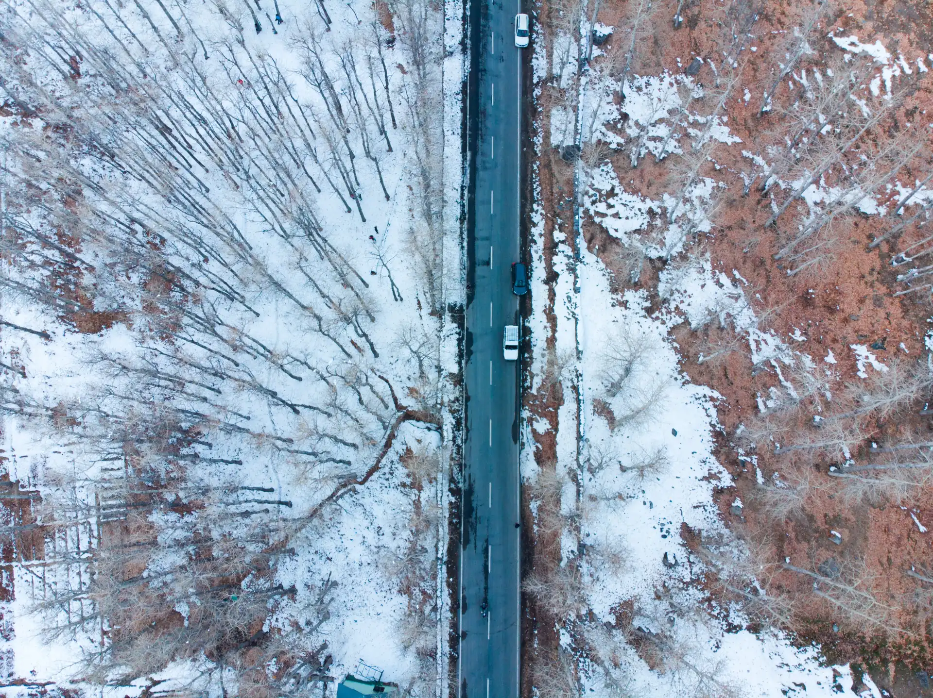 Sissu village and the Chandra valley floor from above