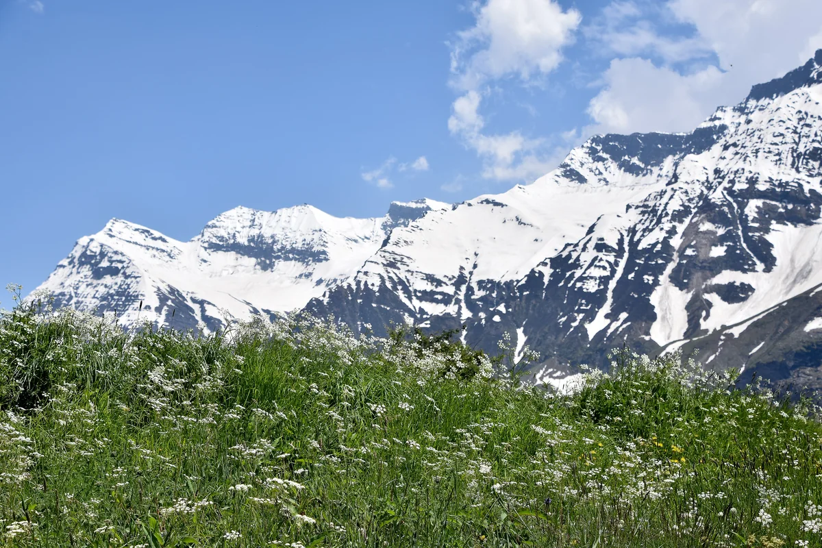 Manali to Sissu — the day trip through the Atal Tunnel