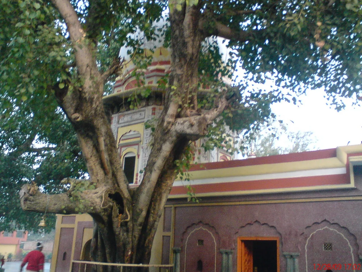 Trilokpur Temple