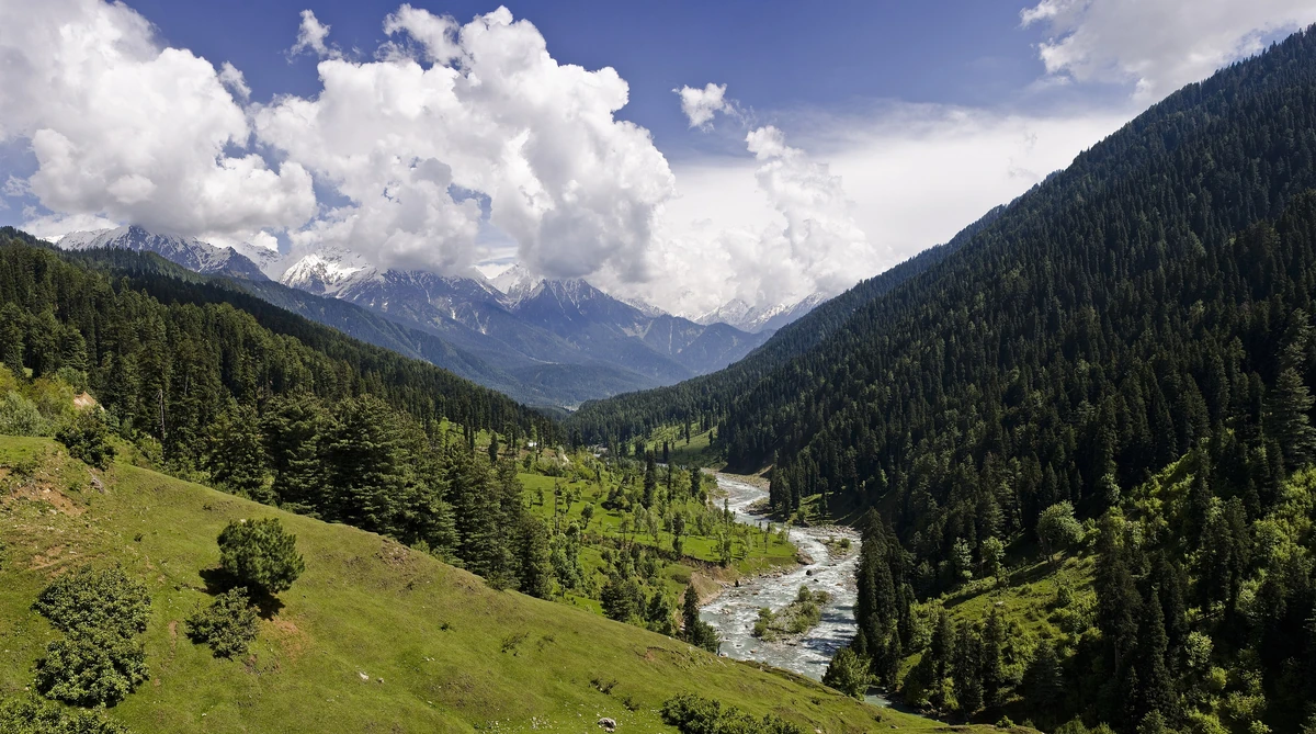 A green forested valley with a stream winding through meadows below snow-capped peaks and white clouds near Pahalgam