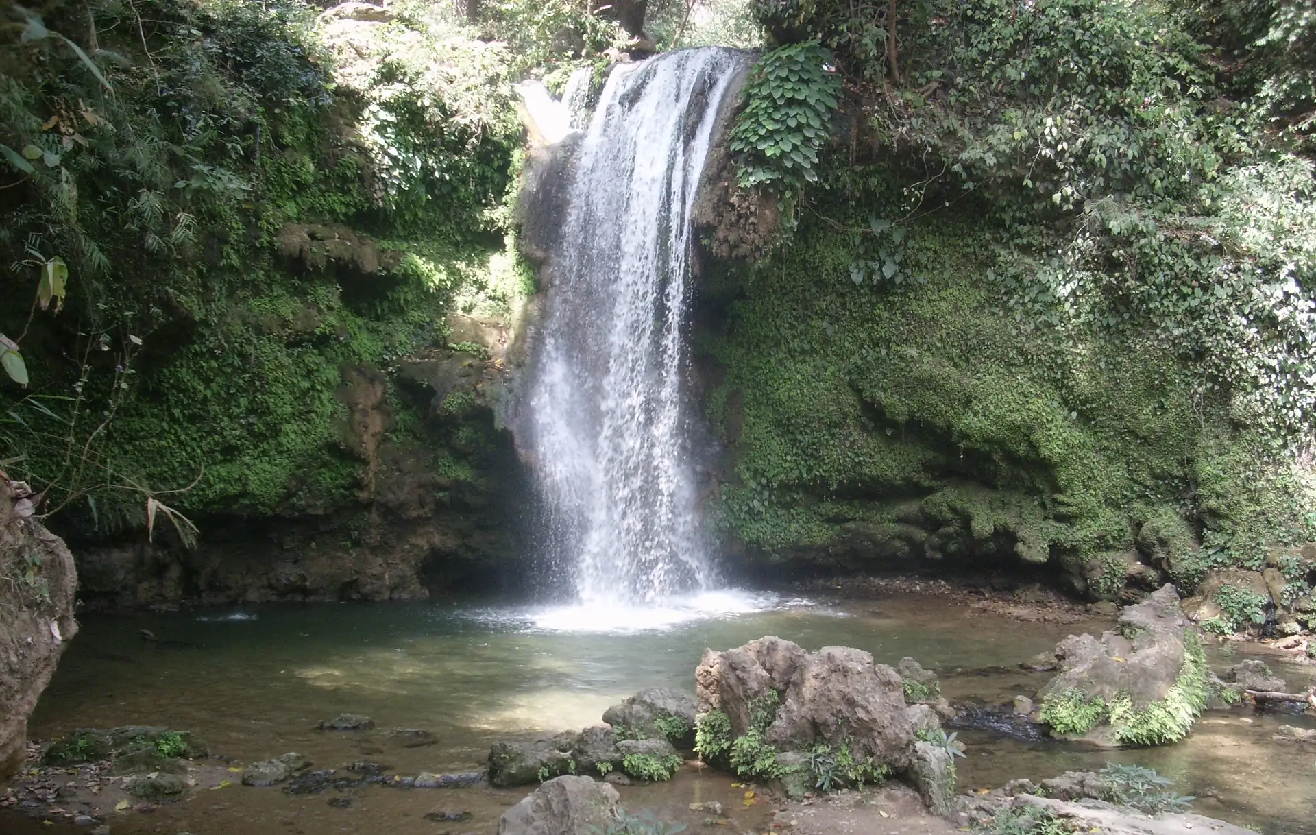 A waterfall dropping over a moss-covered rock wall into a green pool among thick forest