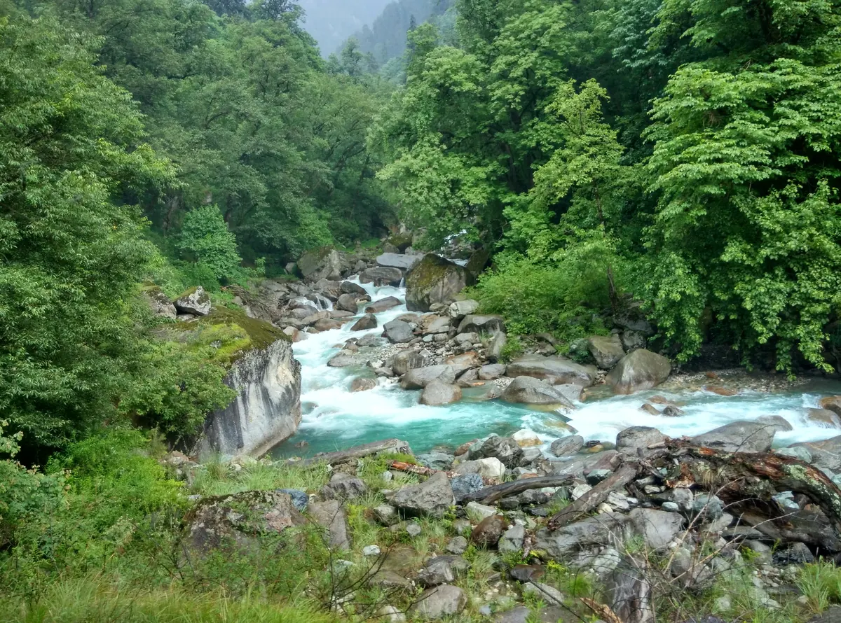 The Sainj river running clear over boulders through forest