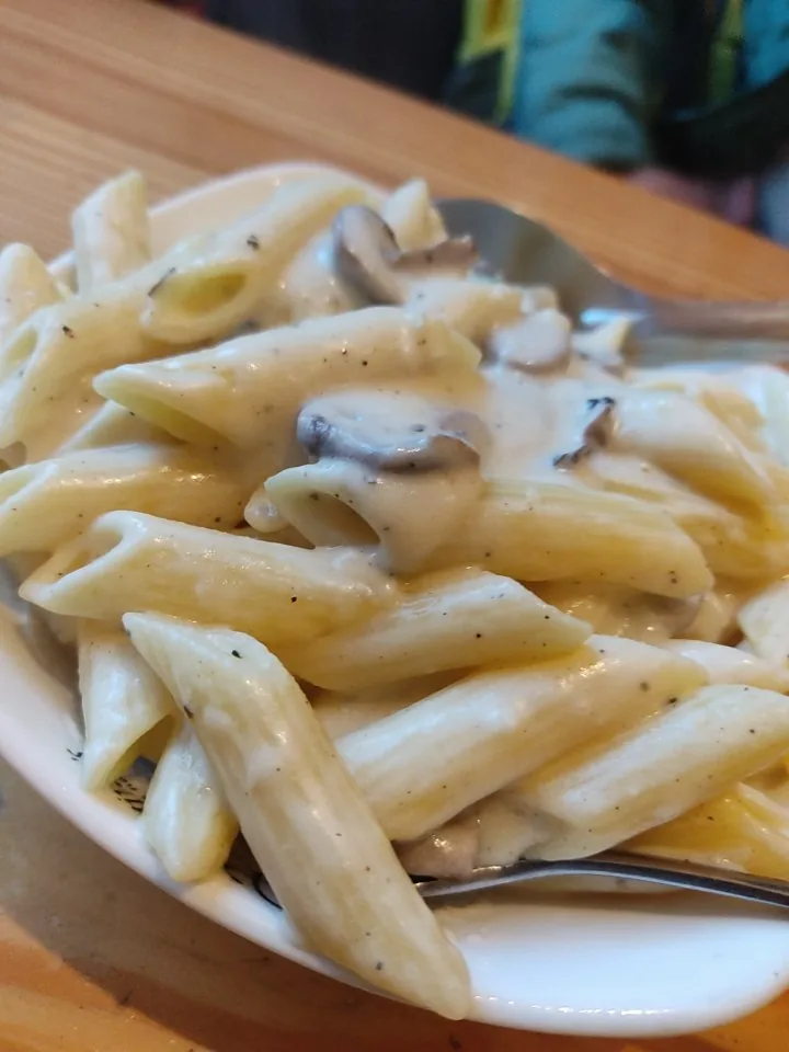 Creamy mushroom penne