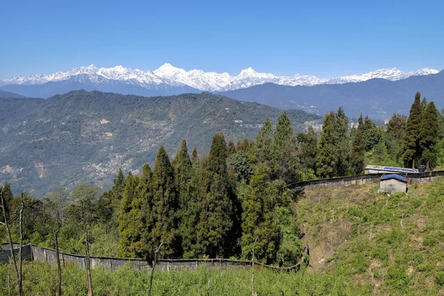 A snow-covered range of peaks on the horizon above green forested hills and a hillside road, under a clear blue sky
