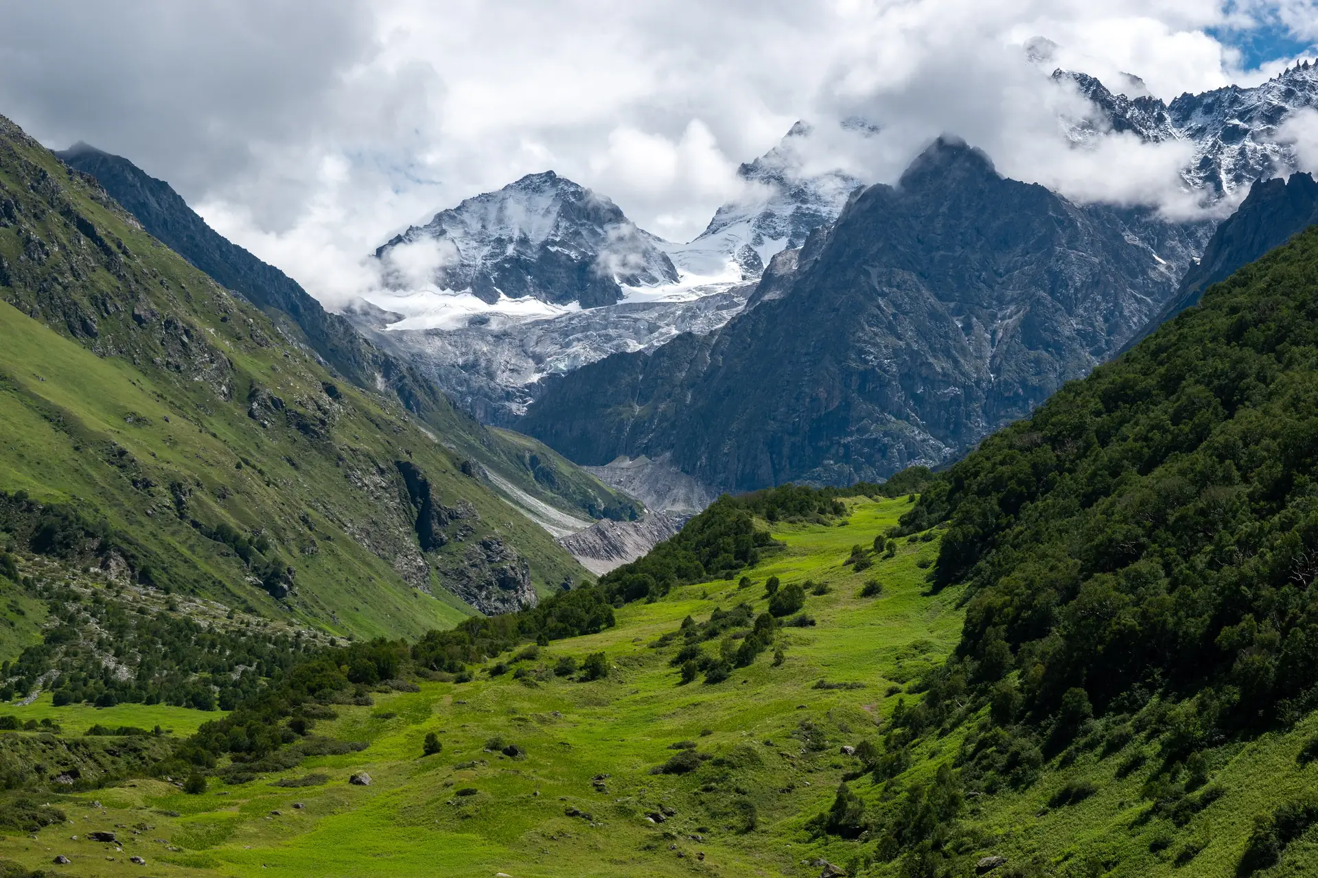 The green Valley of Flowers between steep forested slopes, with snow peaks and white clouds at its head
