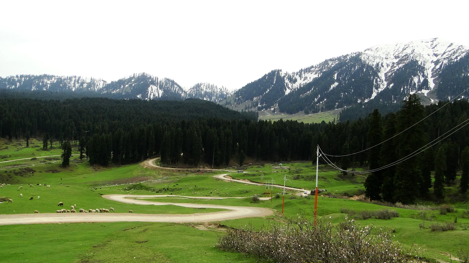 A winding road across a green meadow below dark pine forest and snow-patched peaks at Doodhpathri