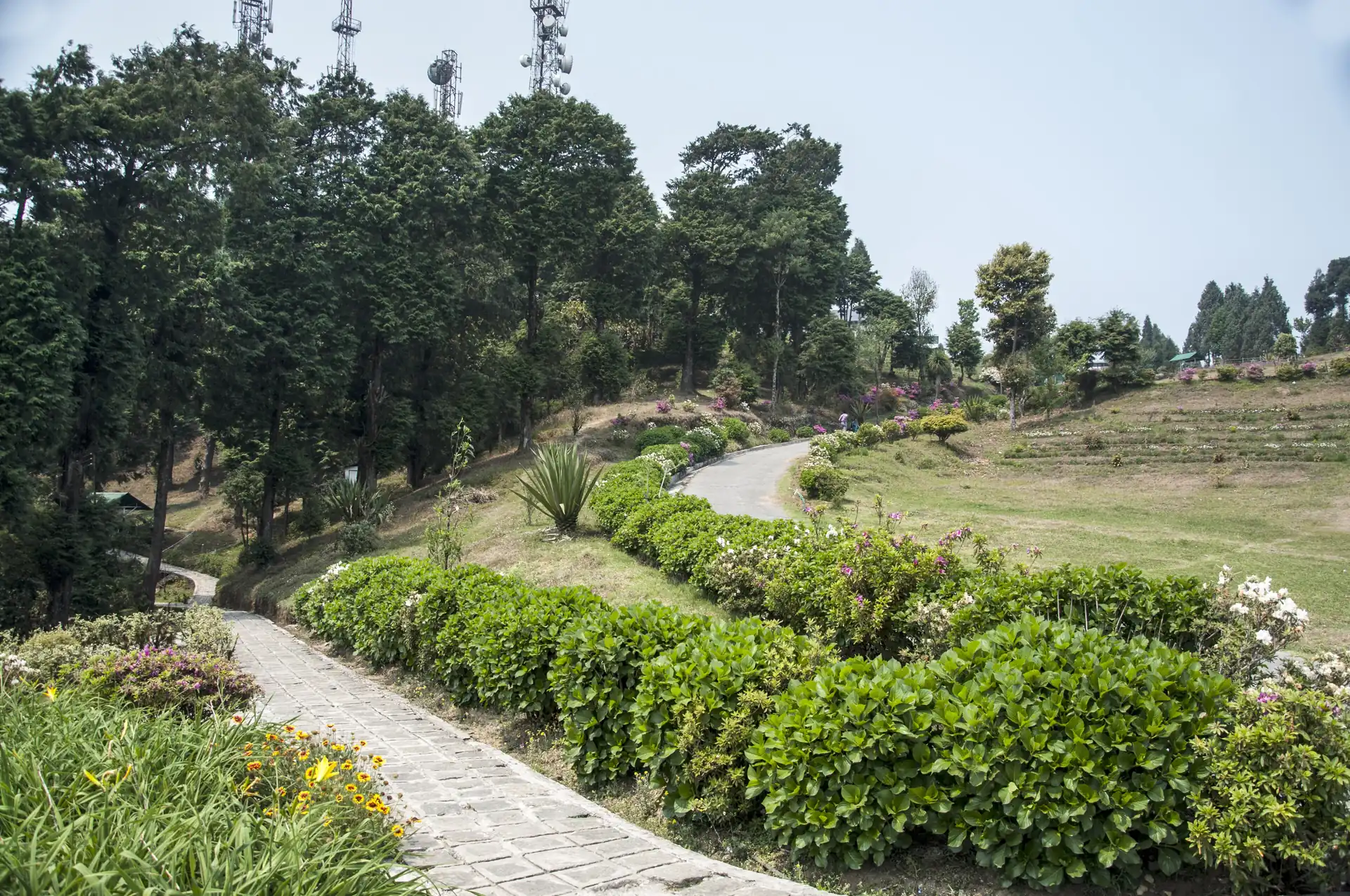 A paved path winding between clipped green hedges and flower beds on the hilltop park at Deolo, with tall trees behind