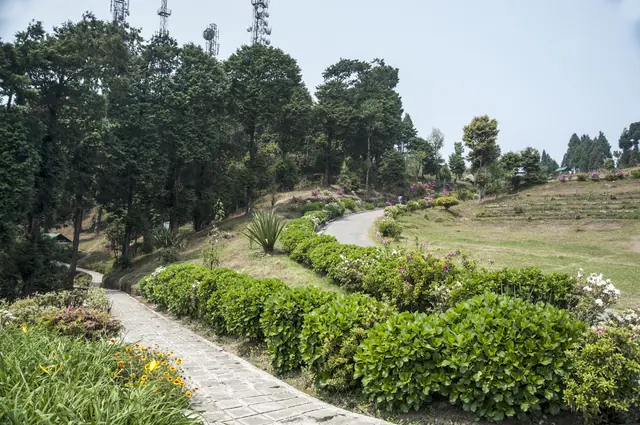 A paved path winding between clipped green hedges and flower beds on the hilltop park at Deolo, with tall trees behind