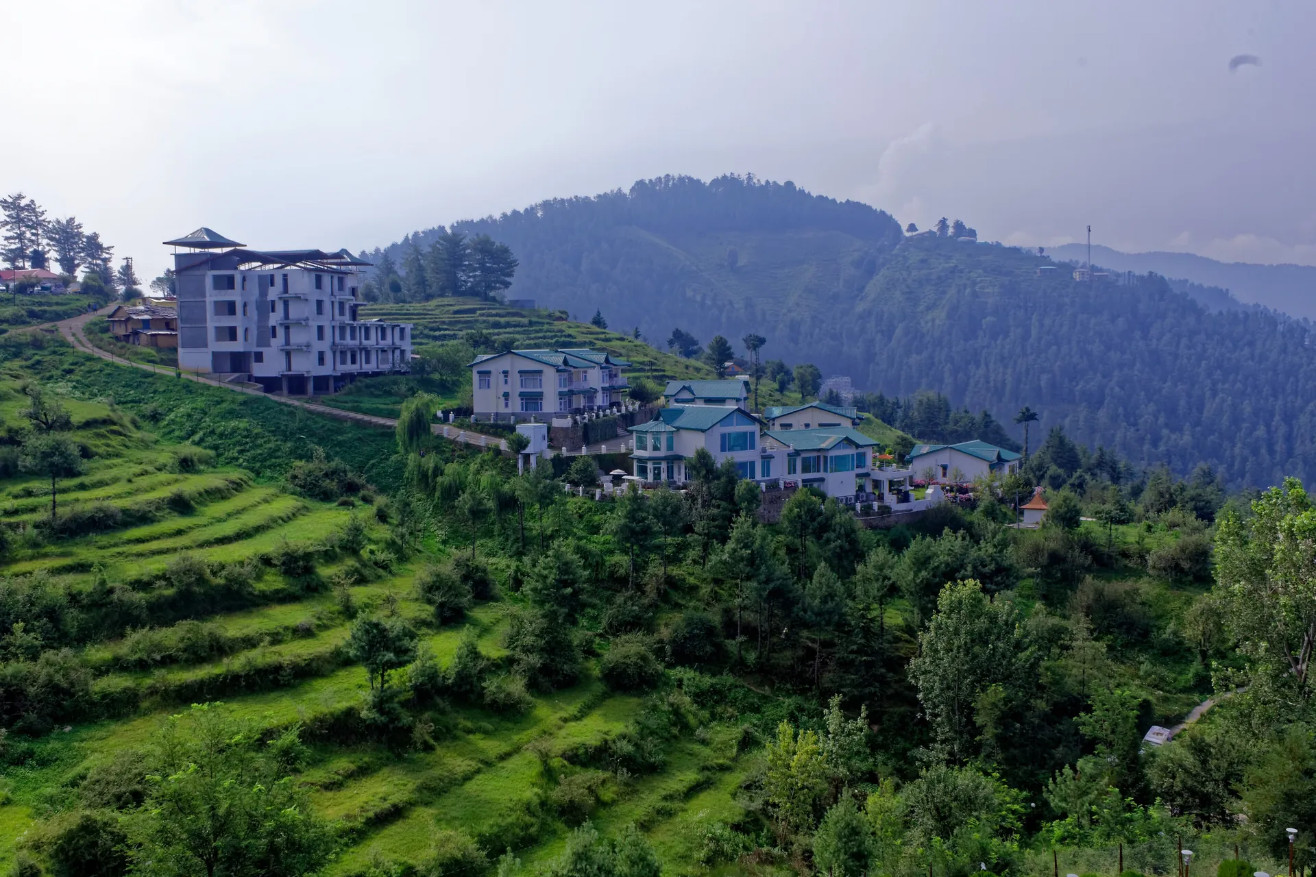 Green terraced slopes and forested ridges below the houses of Mashobra