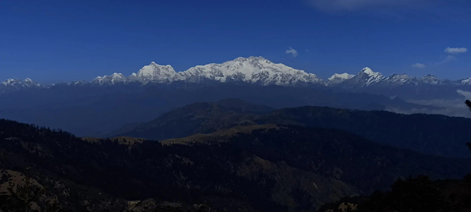 The snow-covered Kanchenjunga range rising above dark forested ridges under a deep blue sky, seen from Sandakphu