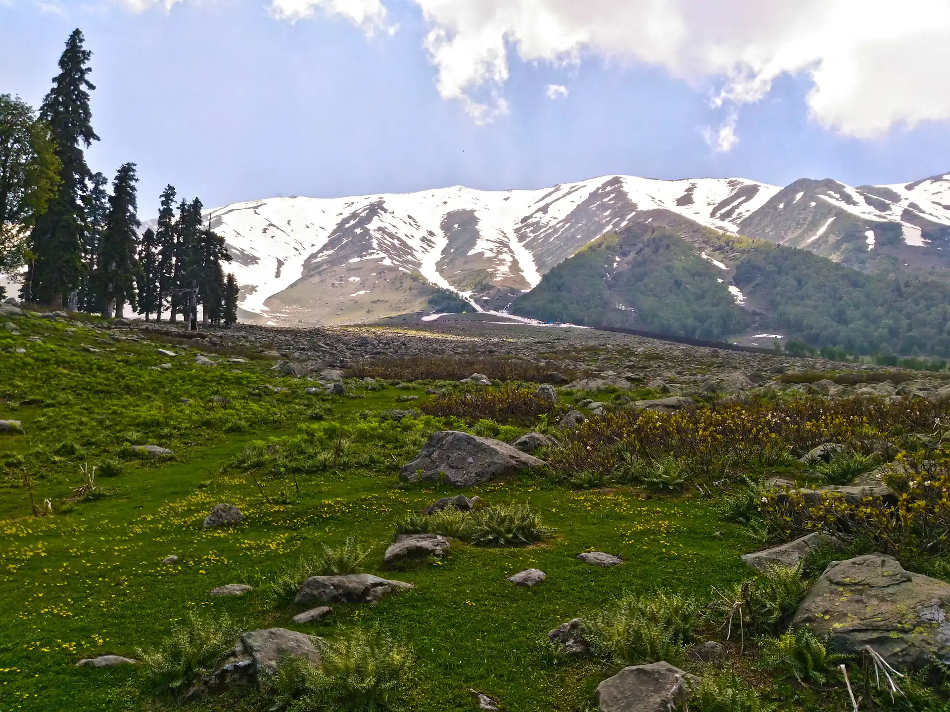 A rocky green meadow in the foreground with the snow-streaked Apharwat range rising behind it