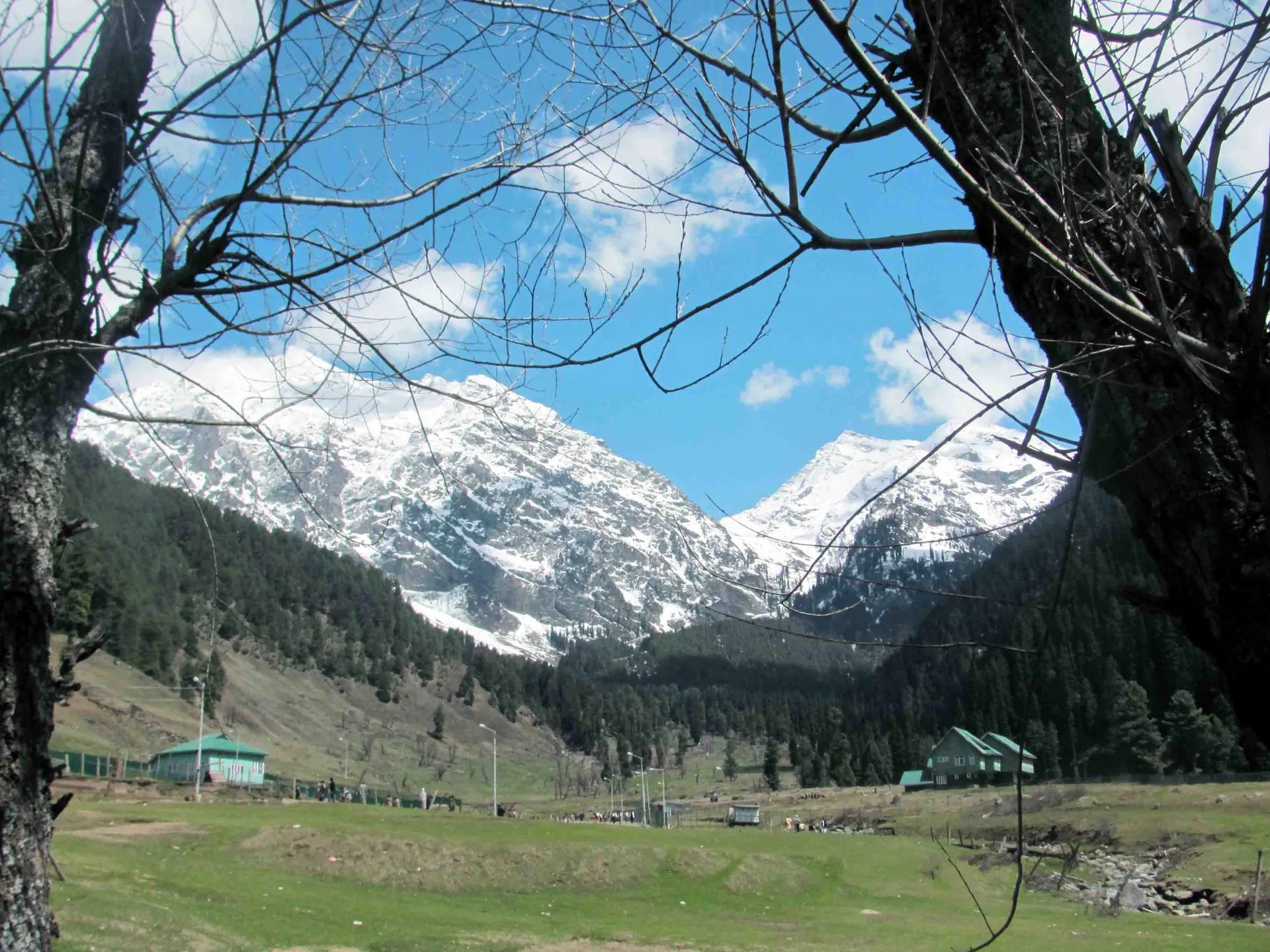 A green meadow with small huts below snow-covered mountains seen through bare branches at Aru Valley in spring