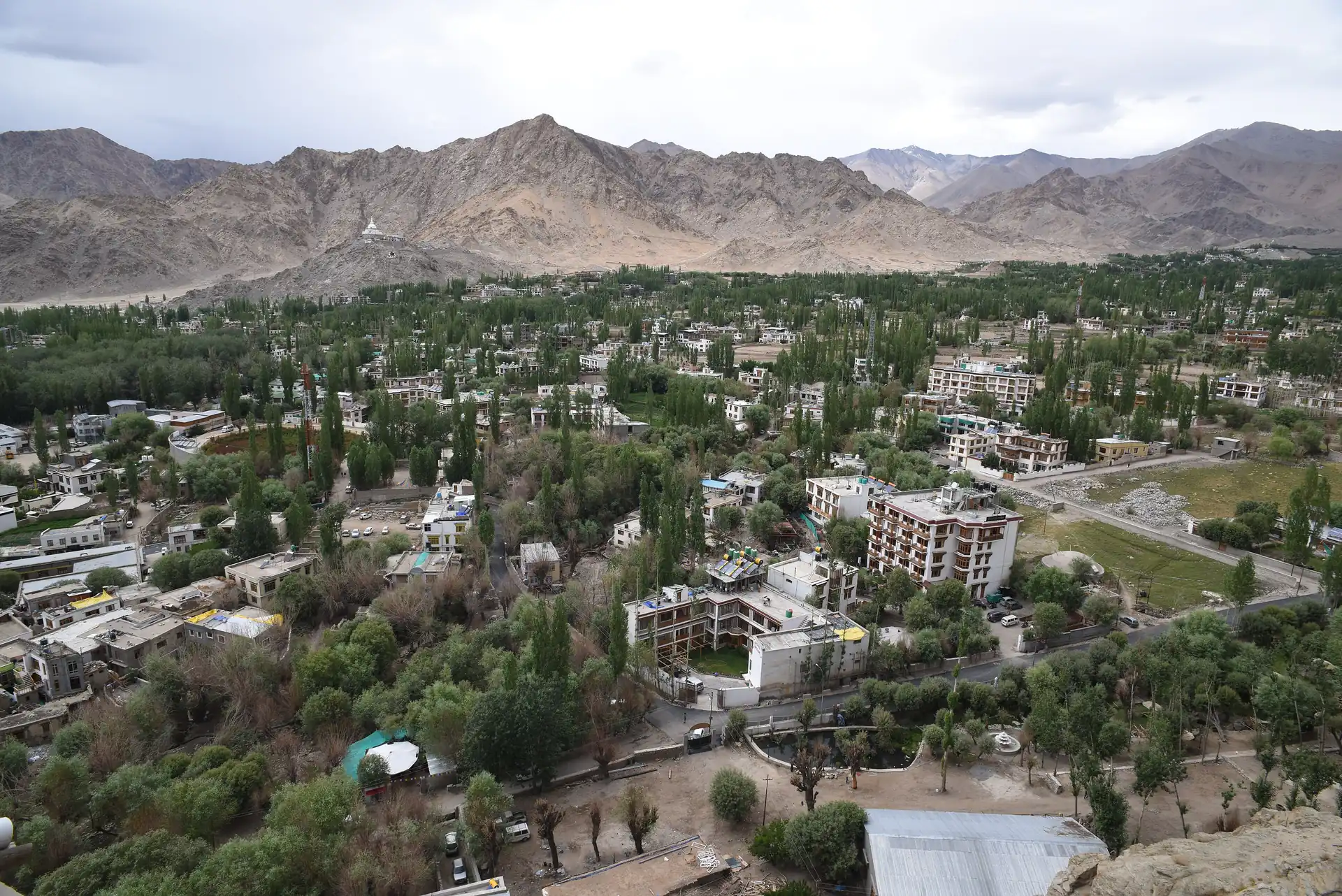 The green town of Leh seen from a hill, with bare brown mountains and a pale sky beyond