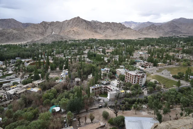 The green town of Leh seen from a hill, with bare brown mountains and a pale sky beyond