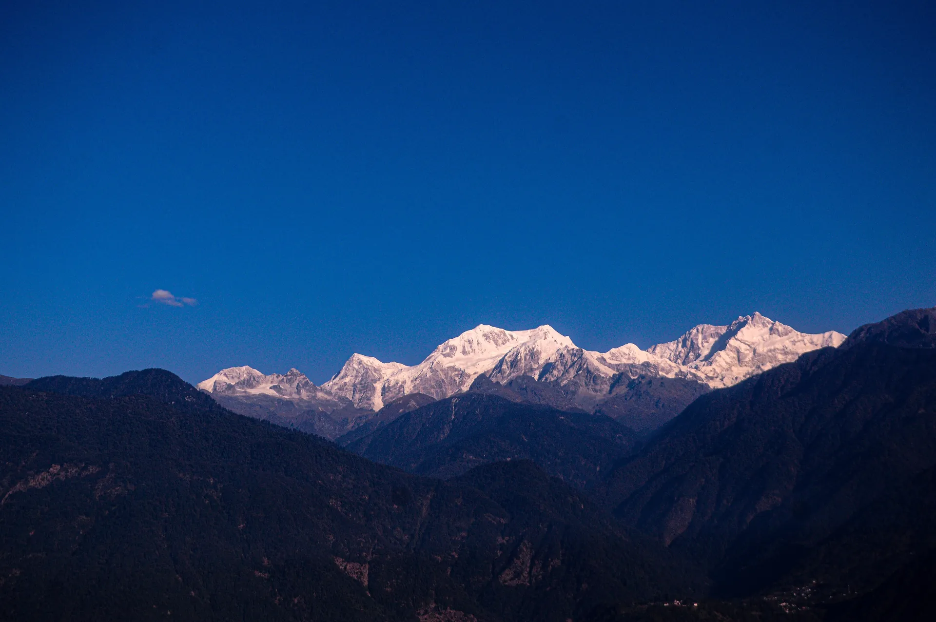 A snow-covered Kanchenjunga ridge turning pink at dusk over dark forested hills under a deep blue sky