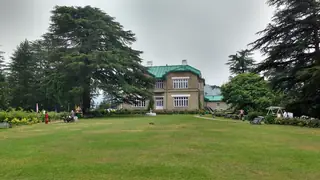 The Chail Palace behind a wide lawn and tall deodar trees