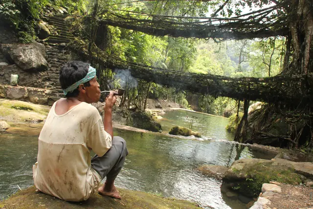 A double-decker bridge of living tree roots spanning a rocky stream in the forest at Nongriat village