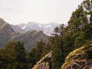 A grassy mountain meadow among rocky outcrops and forest at Chopta, with snow peaks hazy in the distance