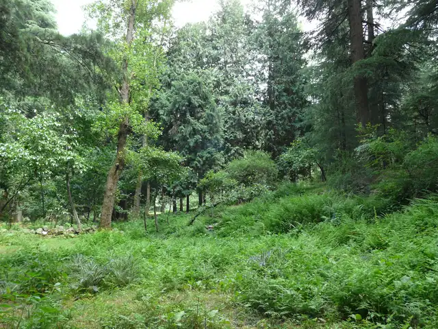 Van Vihar