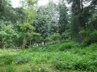 Van Vihar