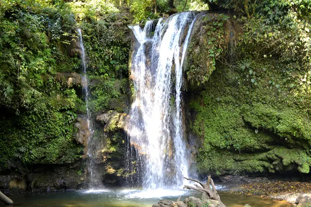 A waterfall dropping over a moss-covered rock wall into a green pool among thick forest