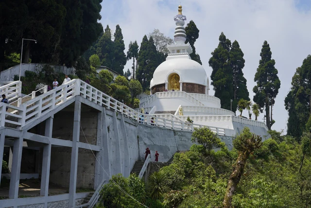 The white domed Darjeeling Peace Pagoda with a golden Buddha niche and a slender spire among dark conifers on a hillside