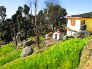 Dharamkot