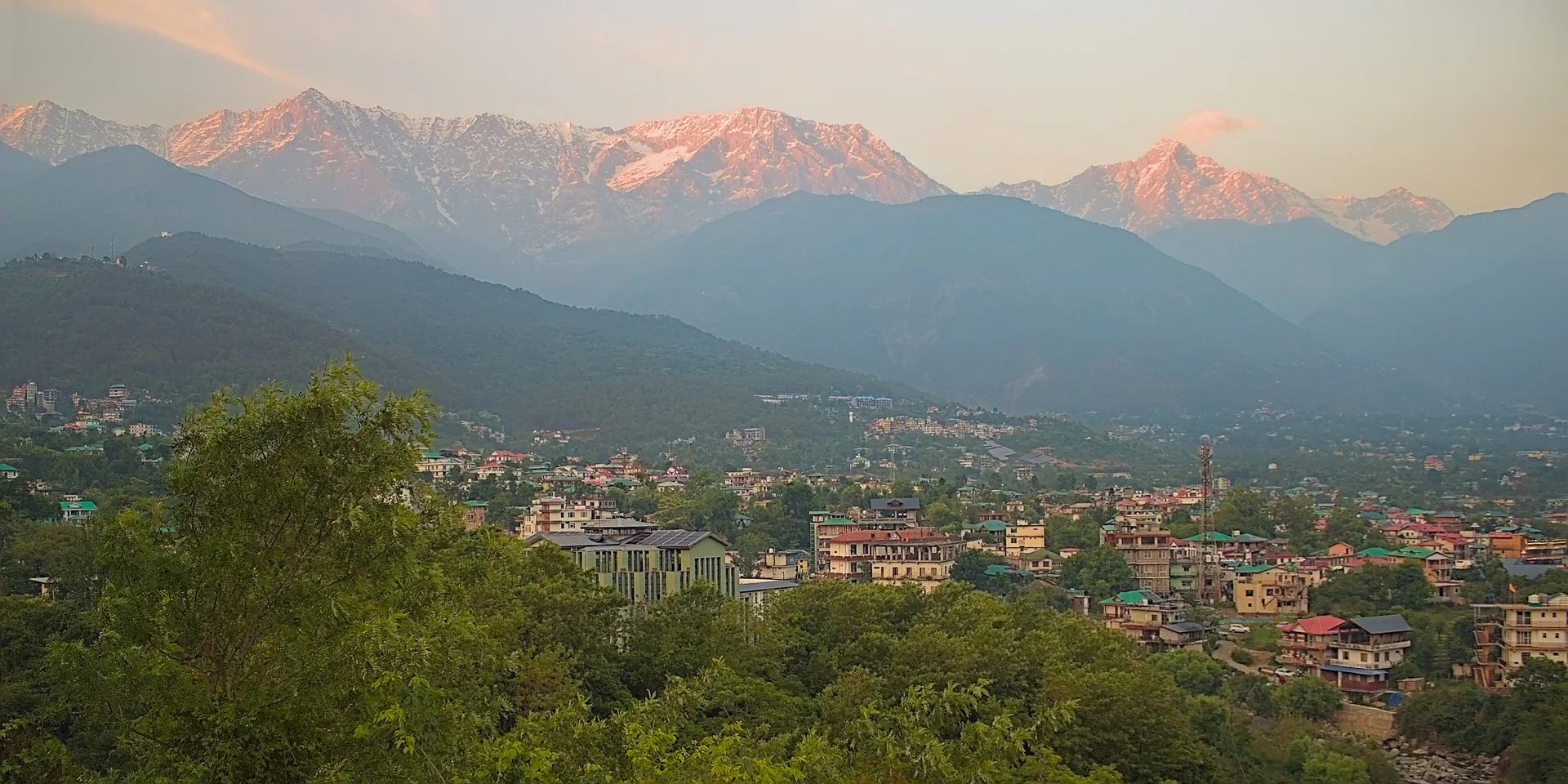The snow-covered Dhauladhar range glowing pink at dusk above the town of Dharamshala