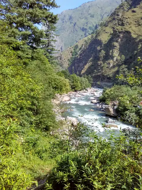 The Tirthan seen from the slope above Gushaini